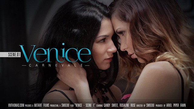 Lesbians in sexy lingerie enjoy passionate sex