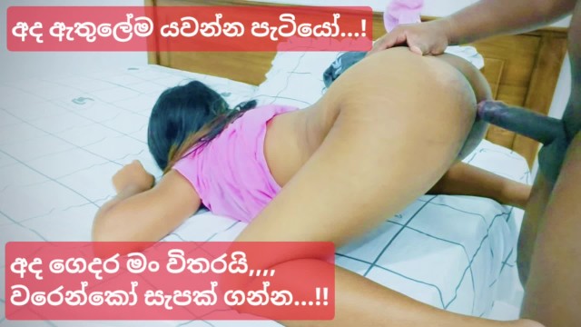 Sri lankan aunt in law hard fuck - sri lankan aunt in law hard fuck
